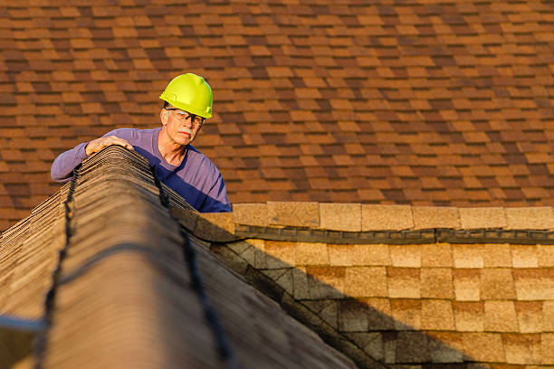 Best Roof Gutter Cleaning  in Delafield, WI